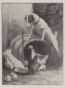 Utkastelsen av Diogenes
